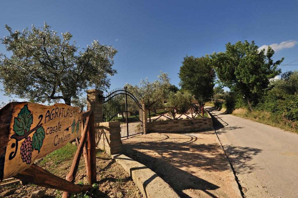 Agriturismo Casale Contessa Montebuono  Bagian luar foto