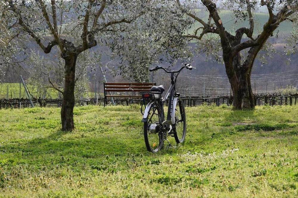 Agriturismo Casale Contessa Montebuono  Bagian luar foto