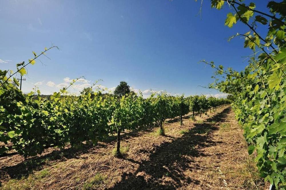Agriturismo Casale Contessa Montebuono  Bagian luar foto